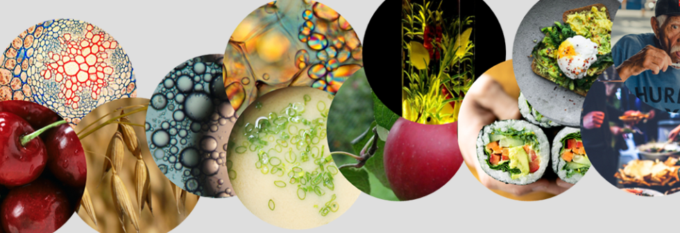 Circled photos of field, fruits and vegetables, an adult enjoying food and a kid eating food