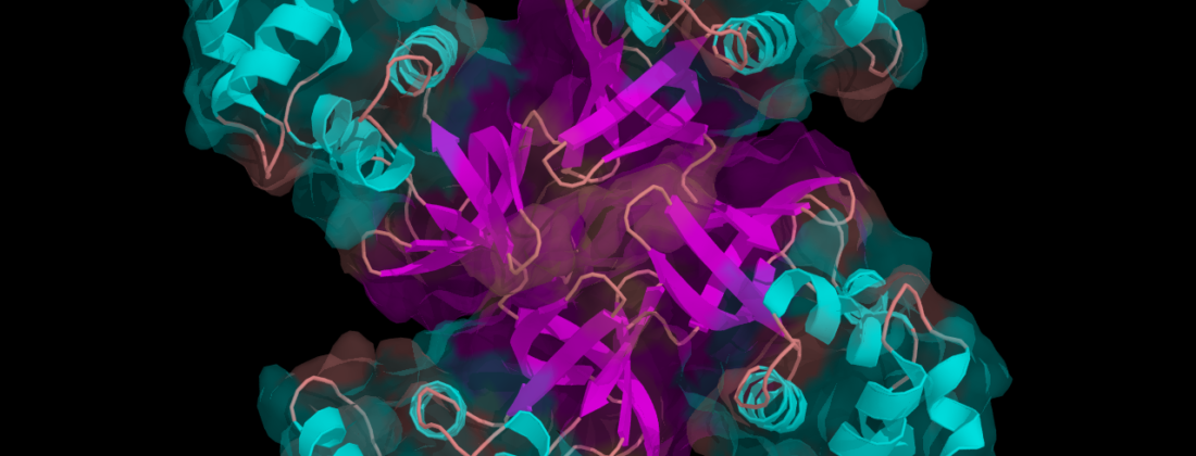 Illustration of four protein helixes coupled together