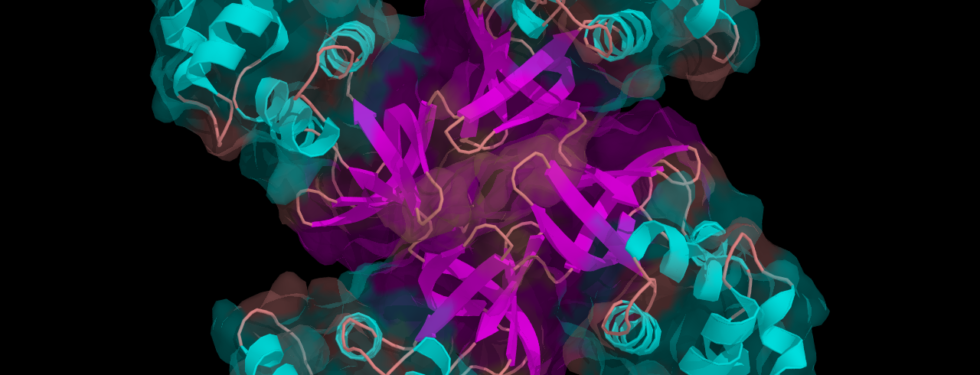 Illustration of four protein helixes coupled together