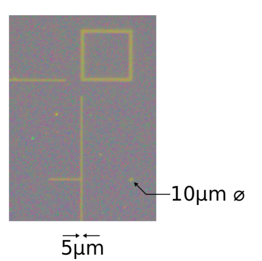 An image showing the sizes from the Optical microscope