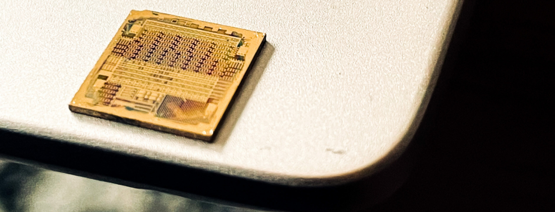 Chip photo scaled