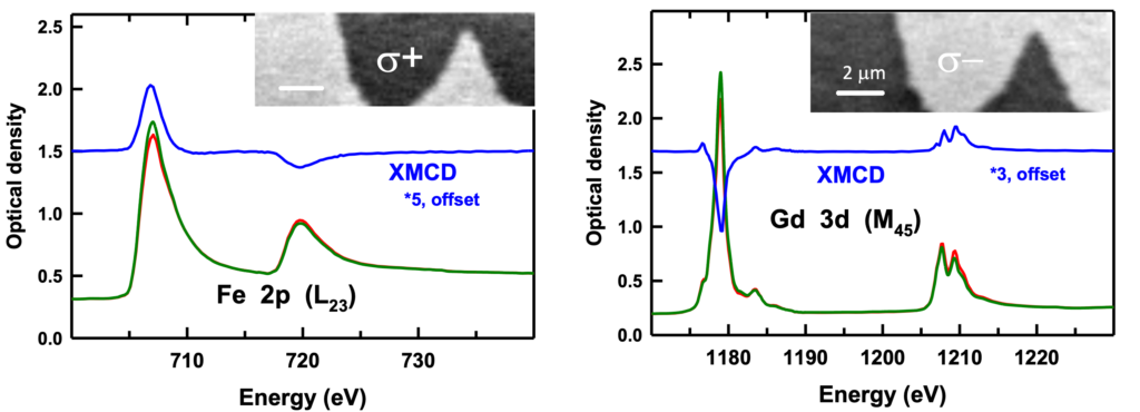 XMCD imaging on a out-of-plane magnetized FeGd multilayer.