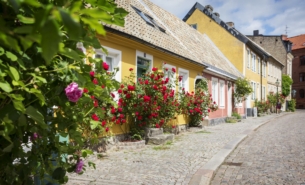 Street in lund © carolina romare (1)