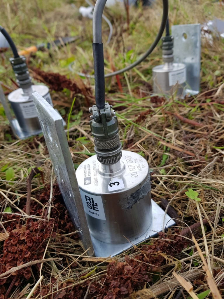 Accelerometer anchored in the ground