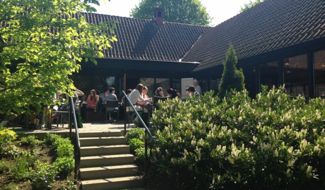 Summer schools