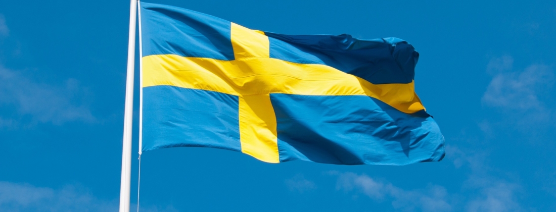 Swedish Flag 1