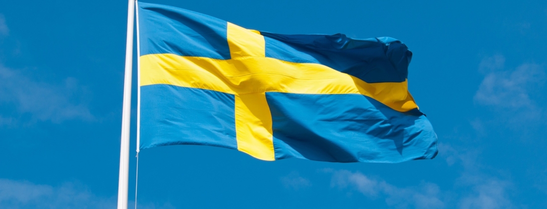 Swedish flag 1