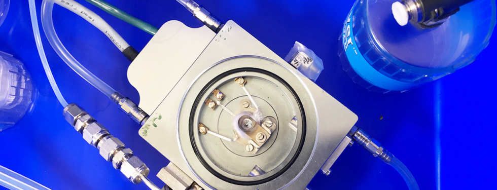 Sample cell