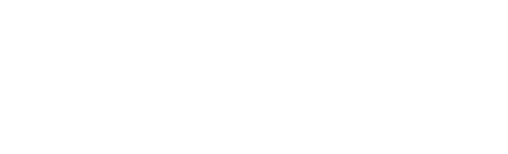 The MAX IV logo тАУ Two swooshes intersecting the name