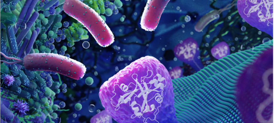 Lipochitooligosaccharides plant receptors sm
