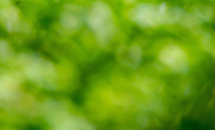 artur-luczka-rfRoZPJ8NOg-unsplash