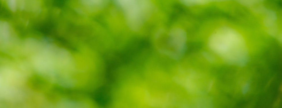 artur-luczka-rfRoZPJ8NOg-unsplash
