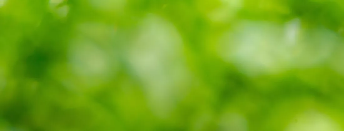 Artur luczka rfrozpj8nog unsplash