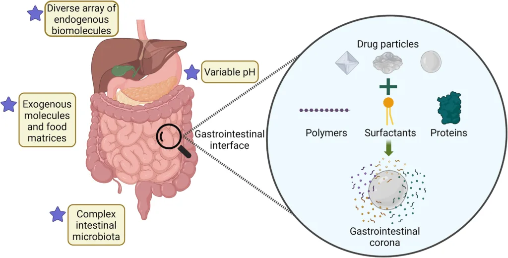 Biomolecular Corona Specifics