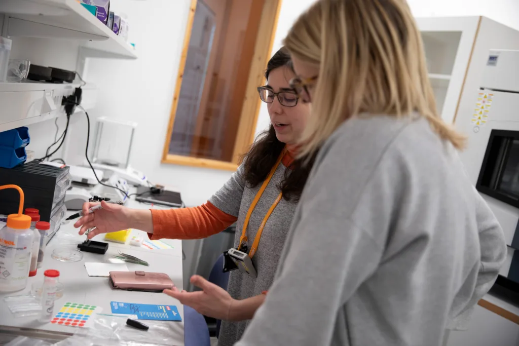 Researchers in the lab