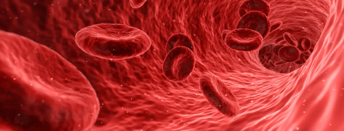Pixabay.qimono / red blood cells