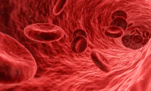 Pixabay.qimono / red blood cells