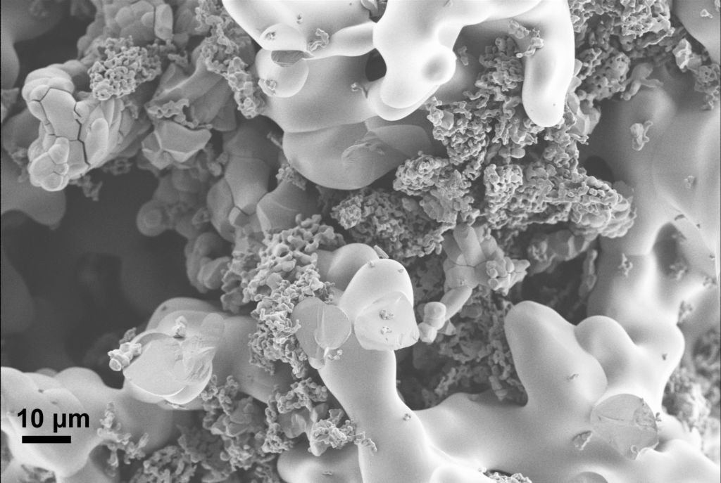 Mixed phase copper niobate sem