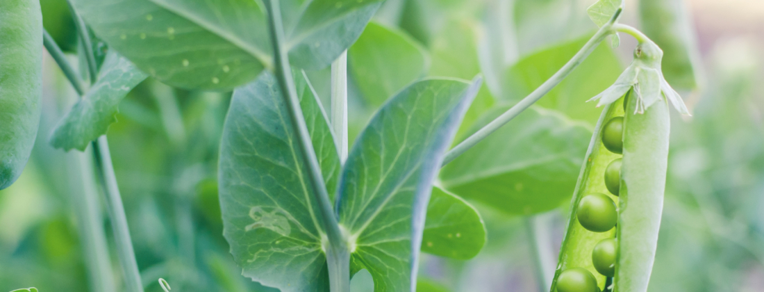 Adobestock 269251748