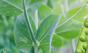 Adobestock 269251748