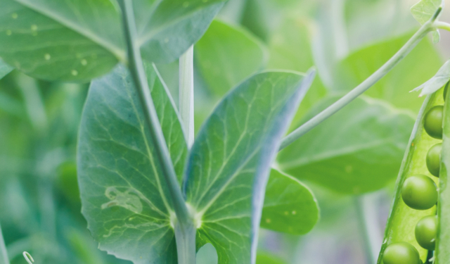 Adobestock 269251748