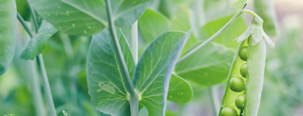 Adobestock 269251748