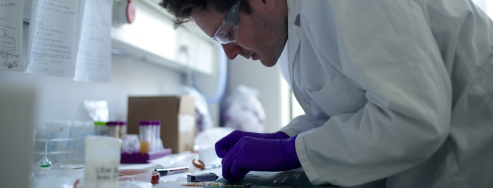 Case van Genuchten in the lab