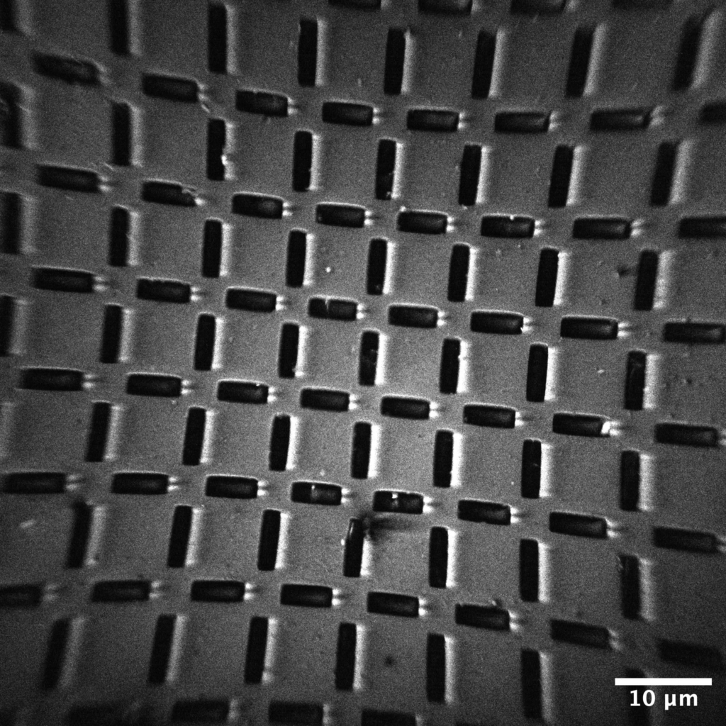 Peem fov 075um grid 10um