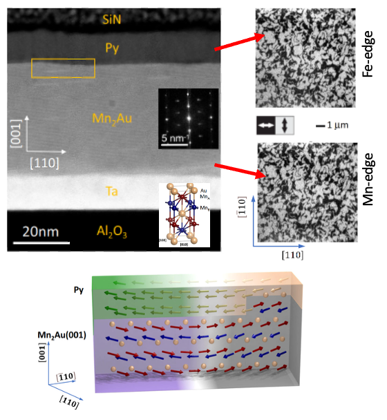 Pasted image 20250915184754