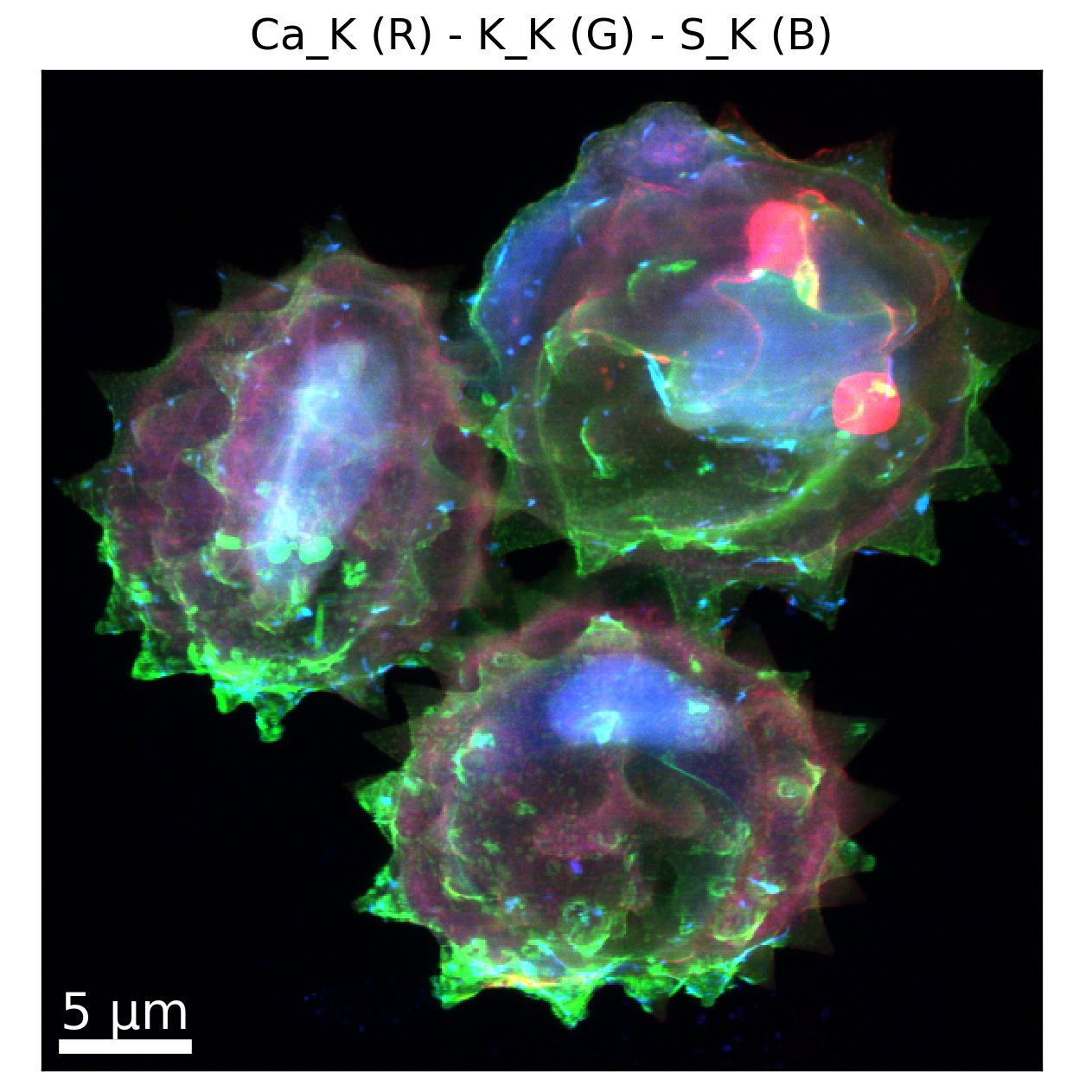 NanoMAX exampledata EH2 XRF of pollen