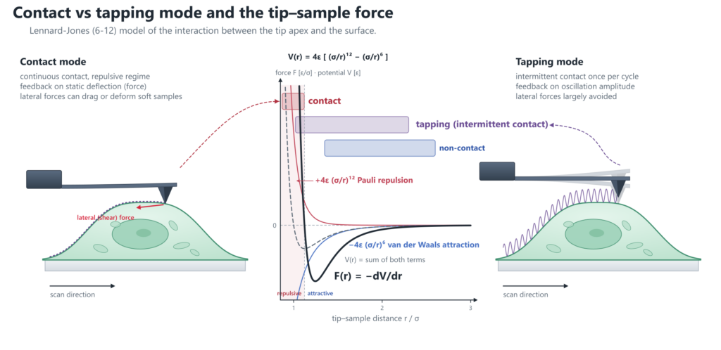 Fig3 contact vs tapping